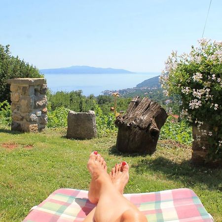 Sea View Apartment With Garden Near Opatija Veprinac Exterior foto